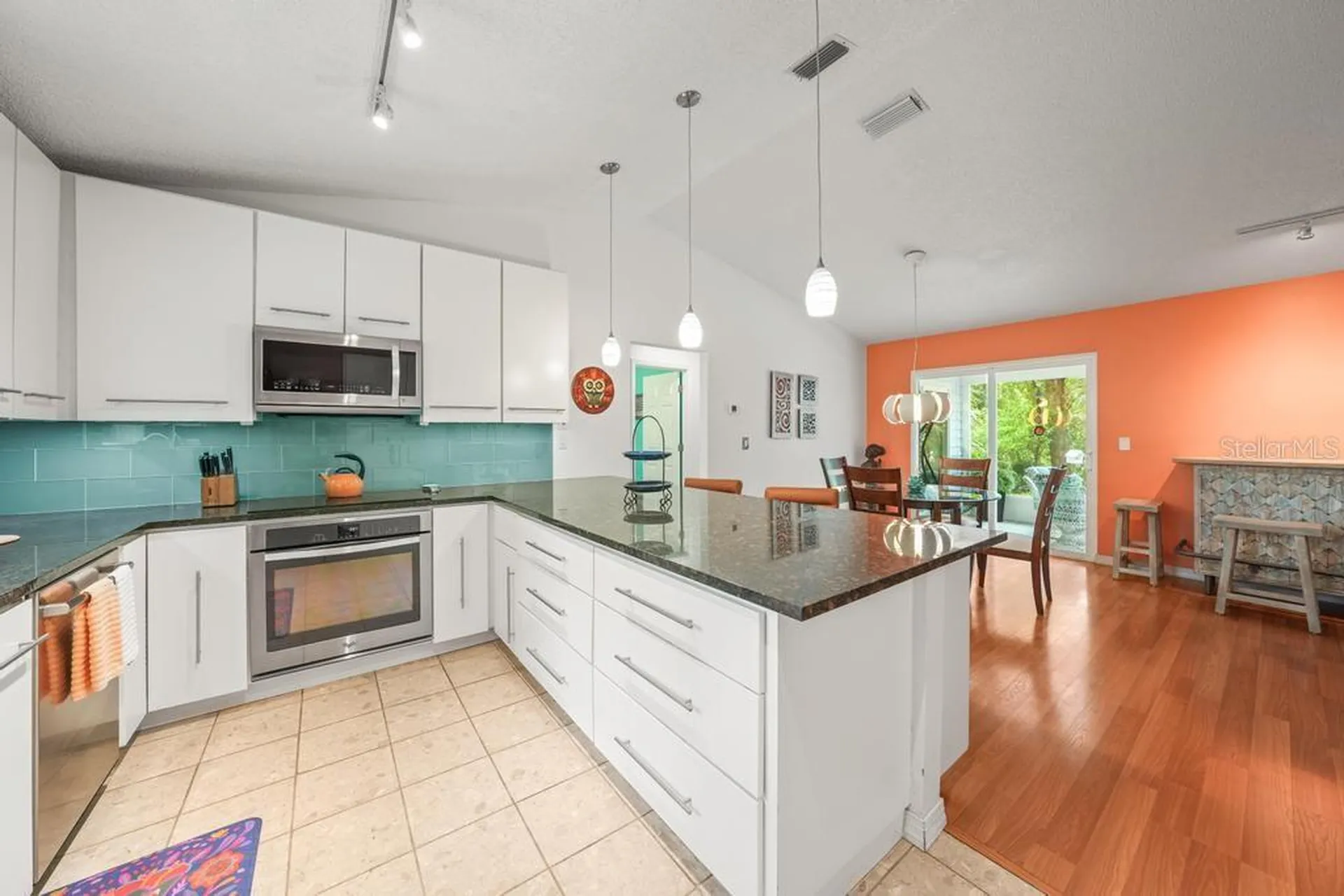 658 Clark Court Mount Dora FL 32757