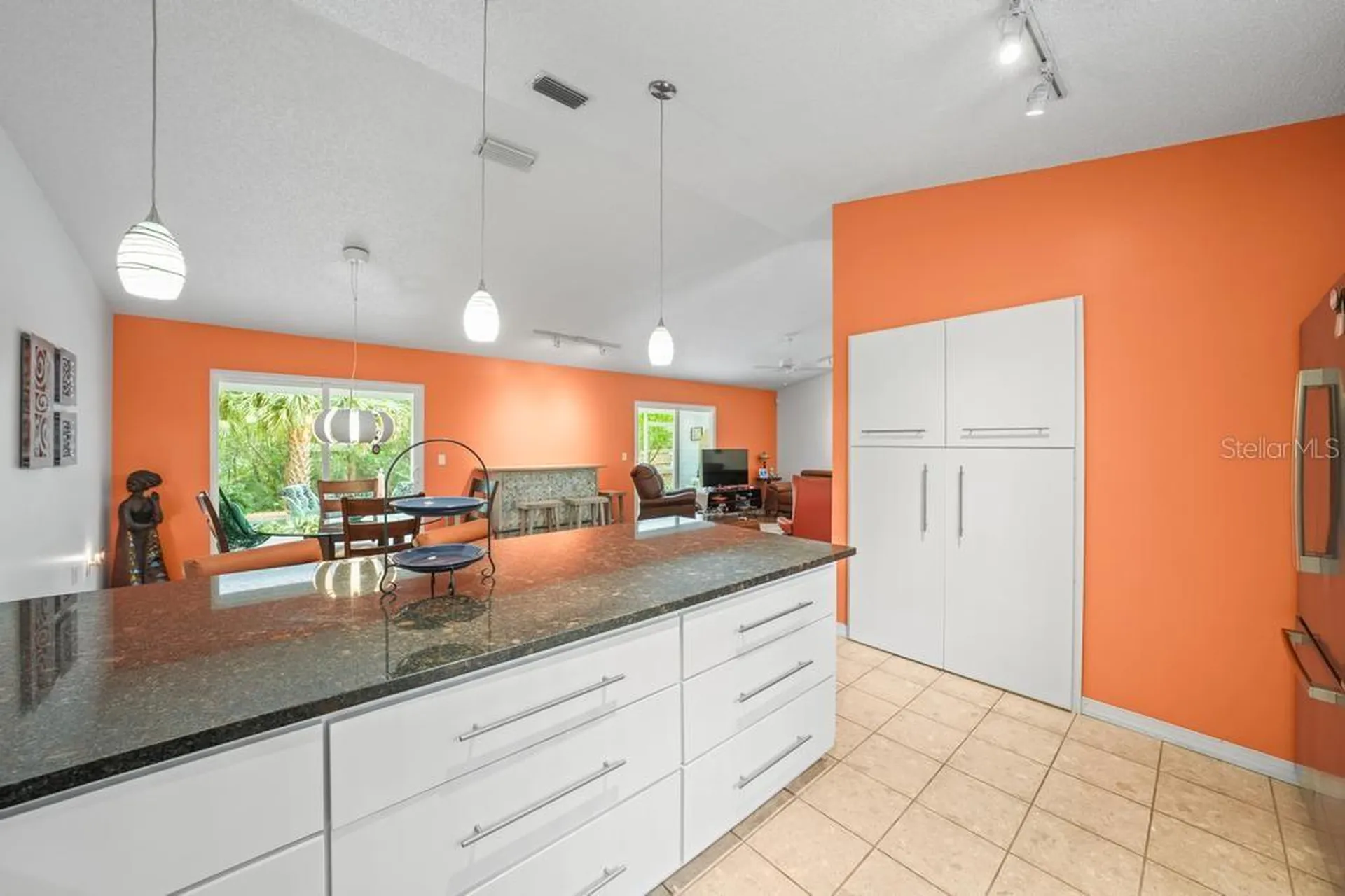 658 Clark Court Mount Dora FL 32757