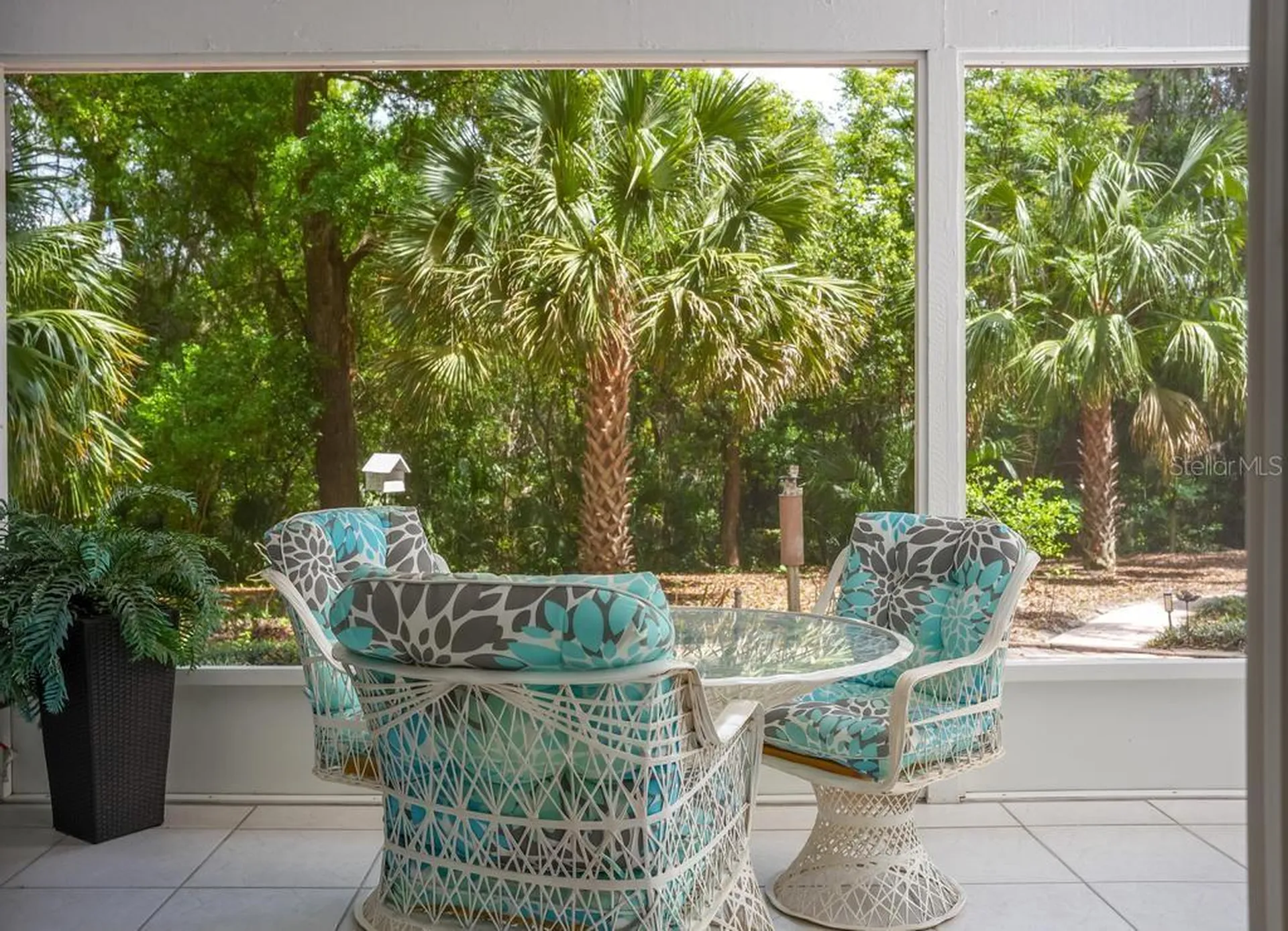 658 Clark Court Mount Dora FL 32757