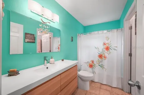 658 Clark Court Mount Dora FL 32757