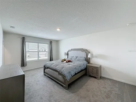 8379 Ender Hills Drive Wesley Chapel FL 33545
