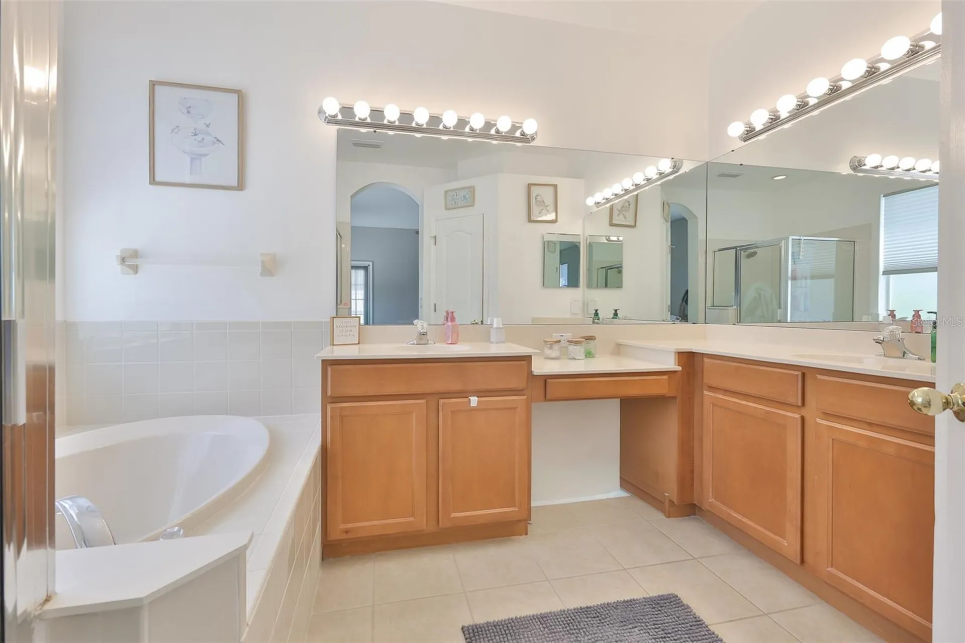 5223 Clover Mist Drive Apollo Beach FL 33572