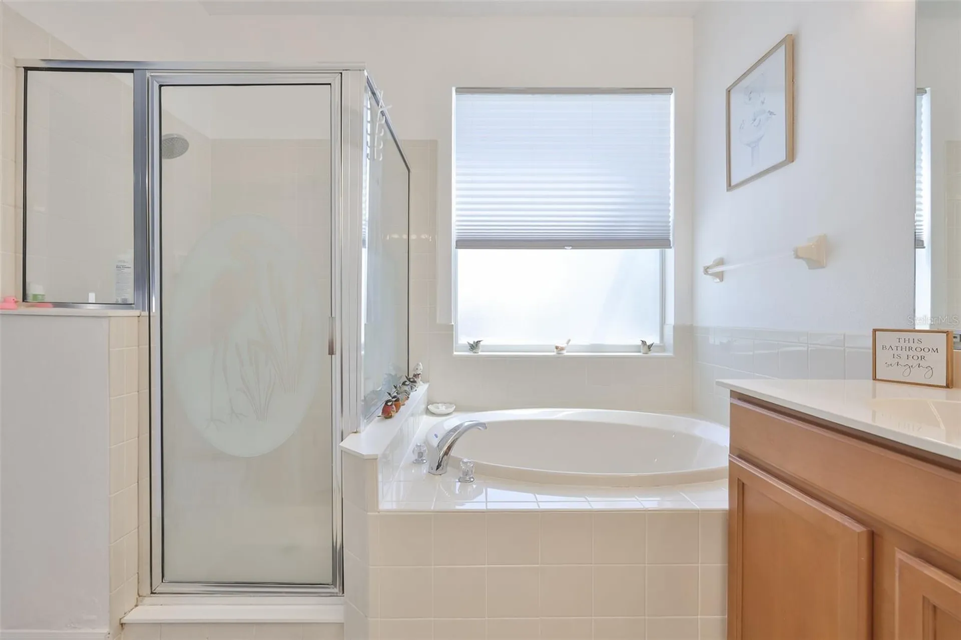 5223 Clover Mist Drive Apollo Beach FL 33572