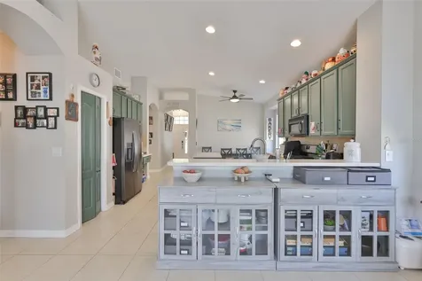 5223 Clover Mist Drive Apollo Beach FL 33572