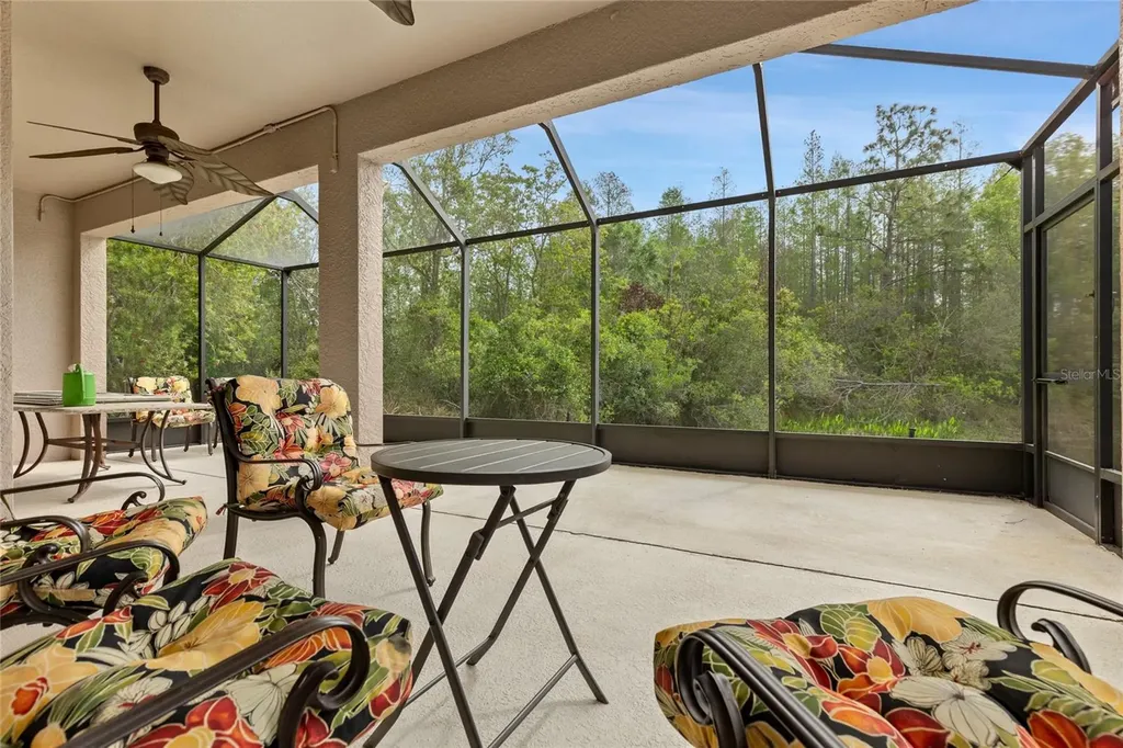 8328 Ponkan Road Land O Lakes FL 34637
