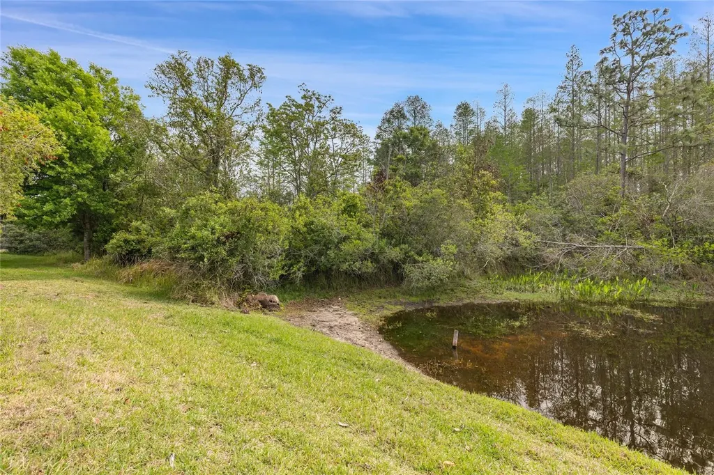 8328 Ponkan Road Land O Lakes FL 34637
