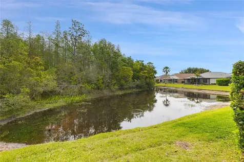 8328 Ponkan Road Land O Lakes FL 34637