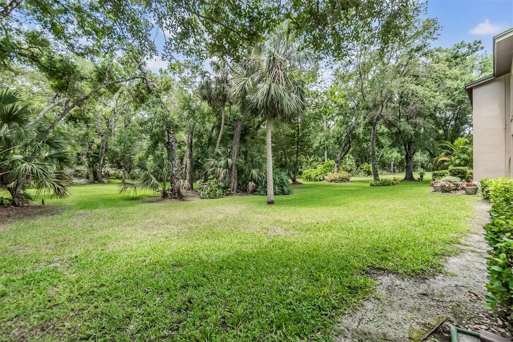 1400 Tarpon Woods Boulevard Palm Harbor FL 34685