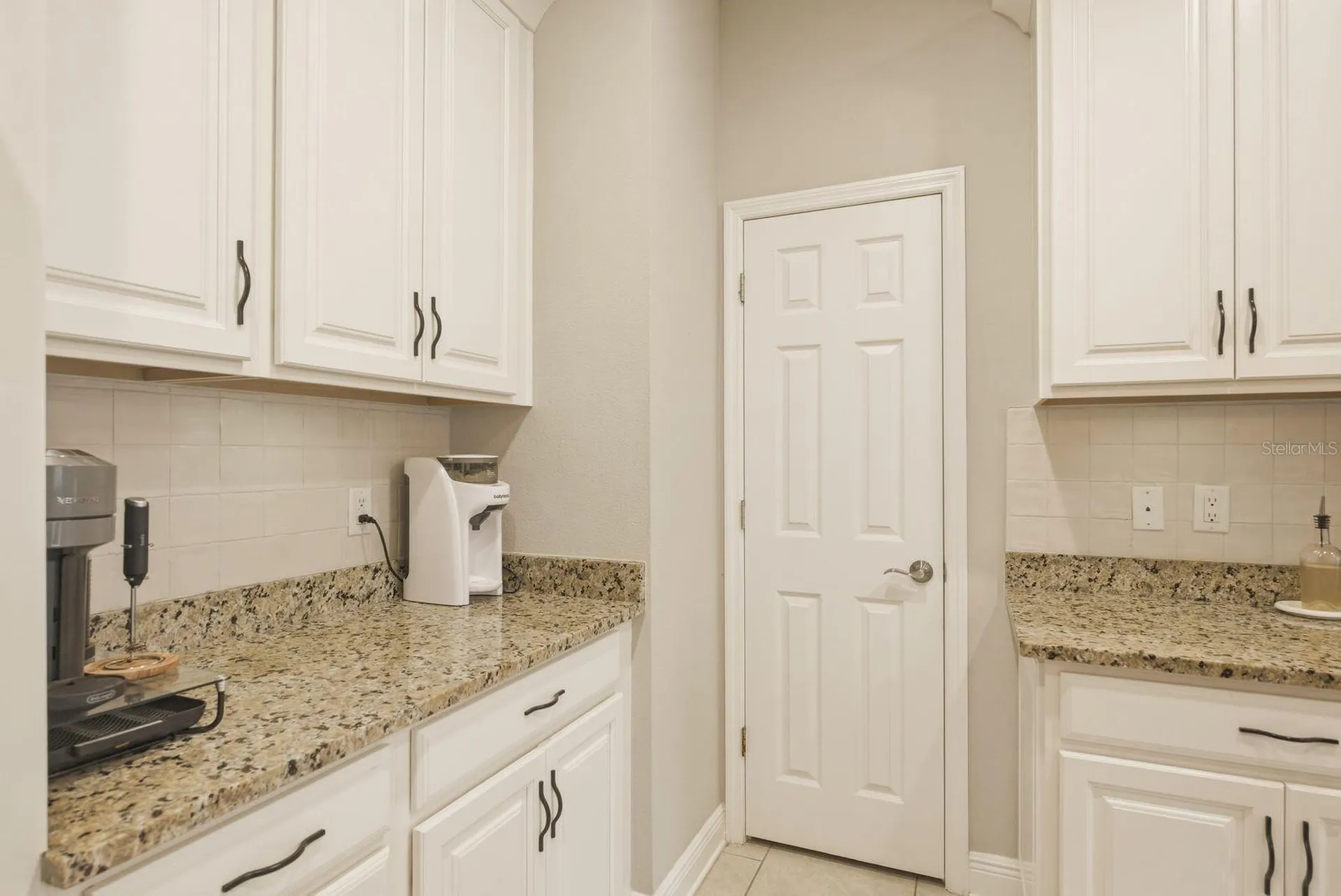 11636 Crowned Sparrow Lane Tampa FL 33626