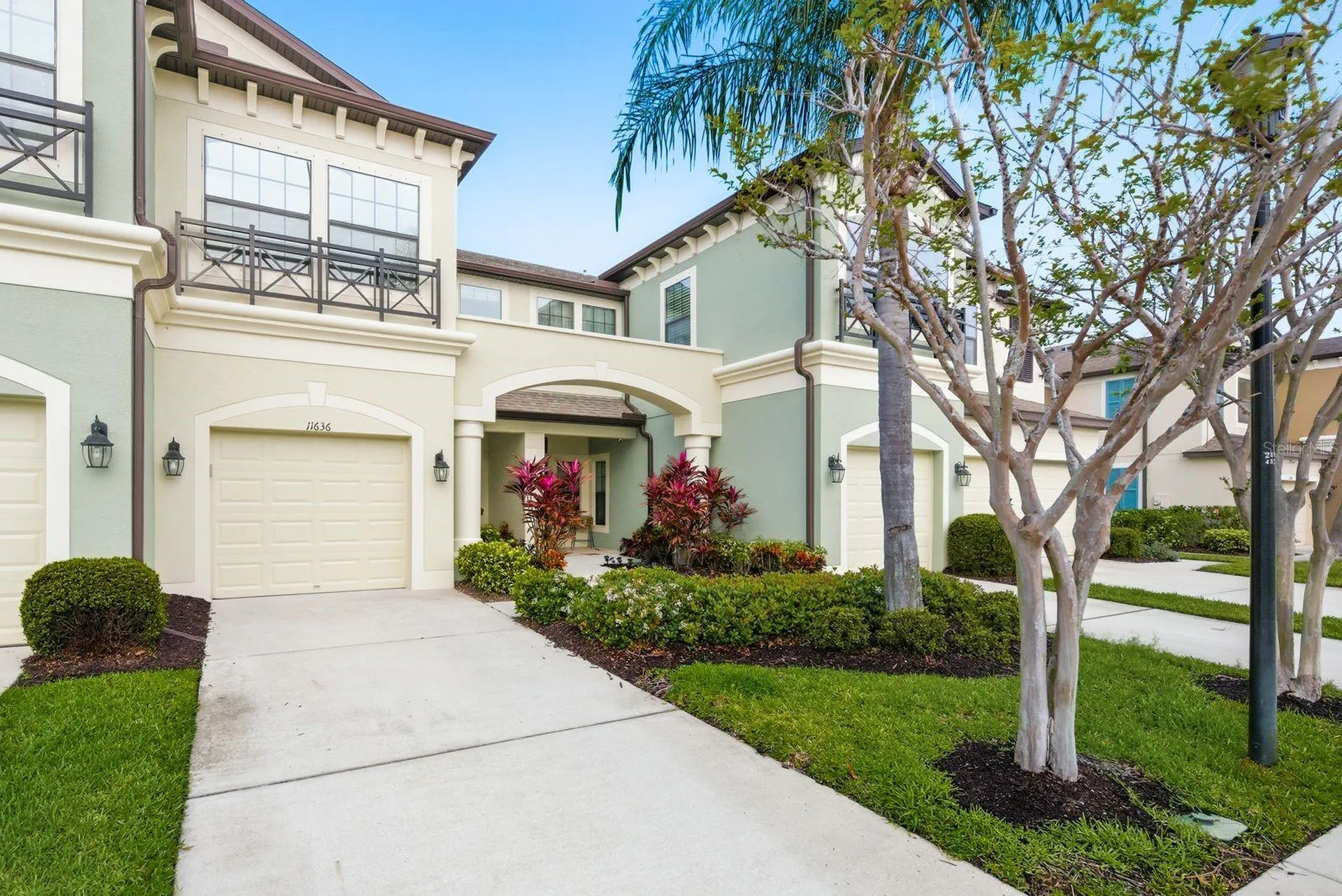 11636 Crowned Sparrow Lane Tampa FL 33626