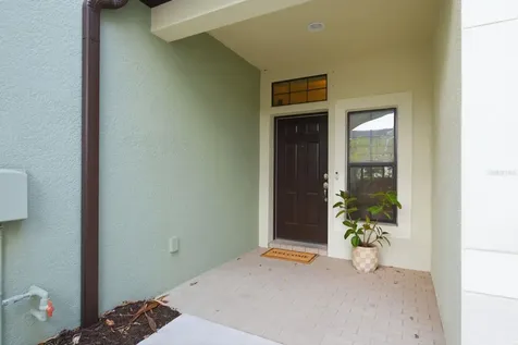 11636 Crowned Sparrow Lane Tampa FL 33626