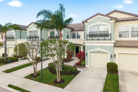 11636 Crowned Sparrow Lane Tampa FL 33626