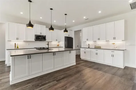 415 N Dixie Drive Howey In The Hills FL 34737
