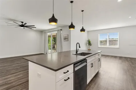 415 N Dixie Drive Howey In The Hills FL 34737
