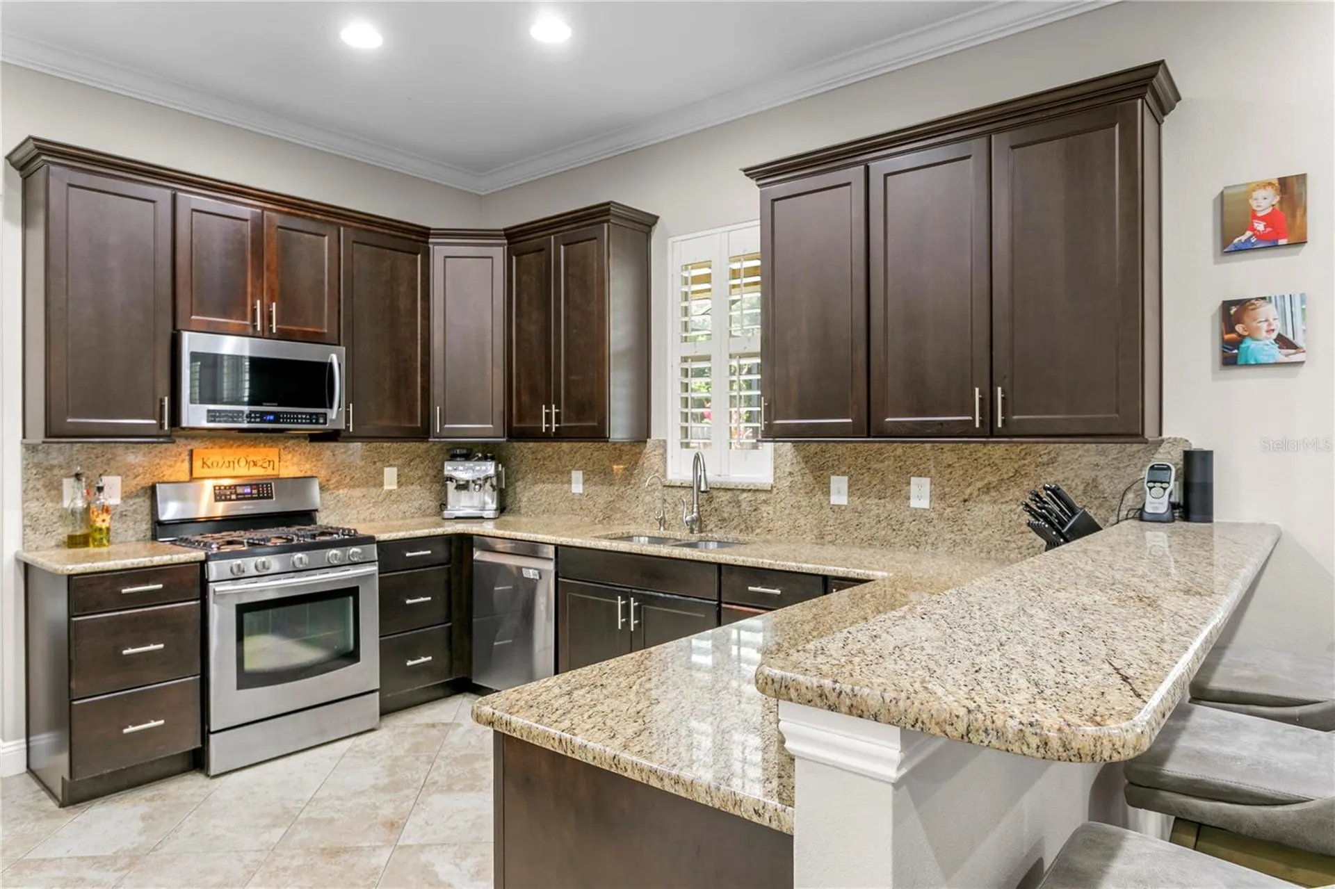 10121 Kingsbridge Avenue Tampa FL 33626