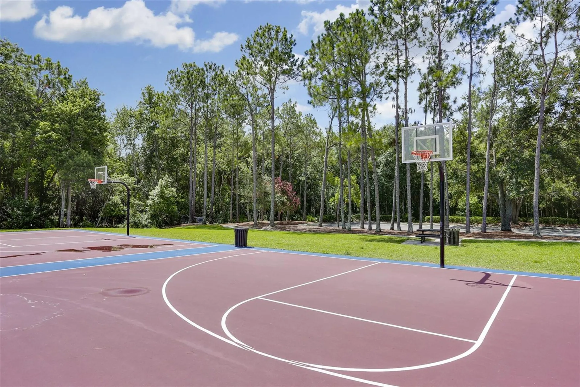 10121 Kingsbridge Avenue Tampa FL 33626