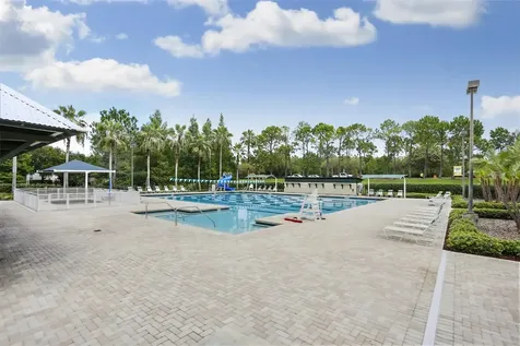 10121 Kingsbridge Avenue Tampa FL 33626