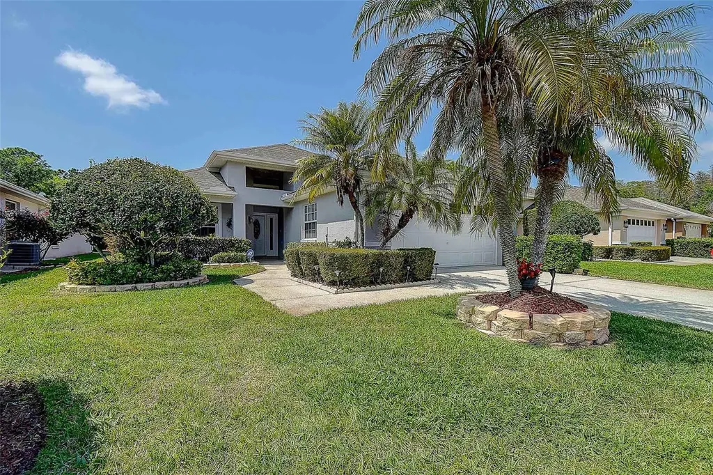 1020 Trafalgar Drive New Port Richey FL 34655