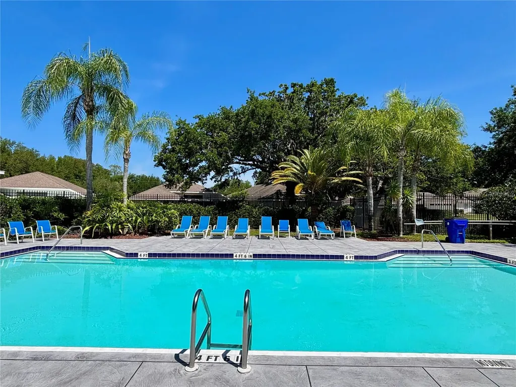 1020 Trafalgar Drive New Port Richey FL 34655