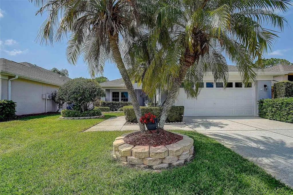 1020 Trafalgar Drive New Port Richey FL 34655