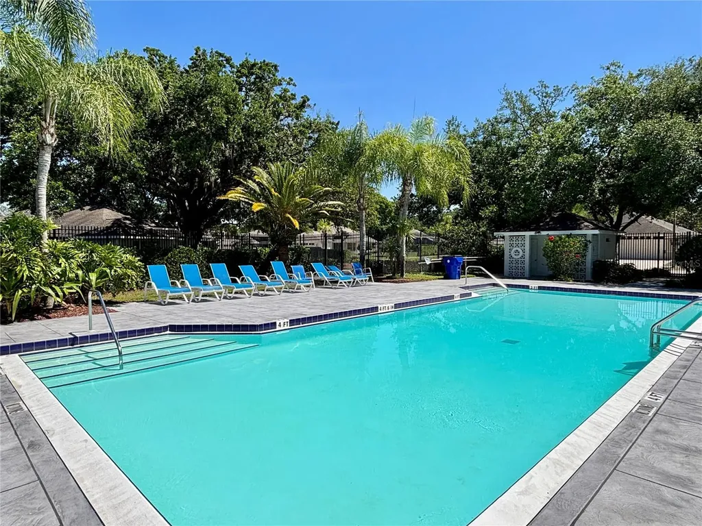 1020 Trafalgar Drive New Port Richey FL 34655