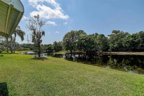 1020 Trafalgar Drive New Port Richey FL 34655