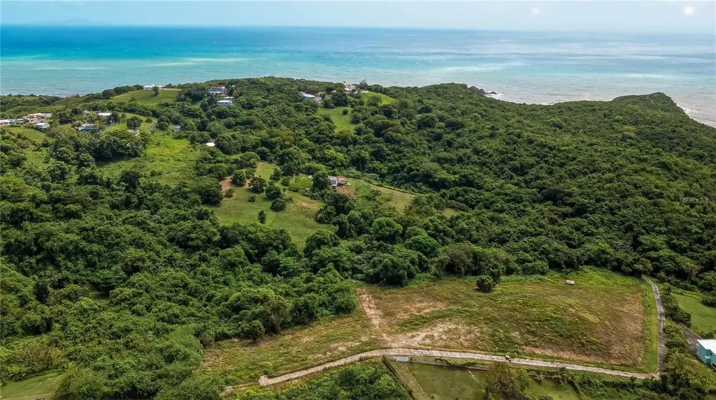 Lots 8, 11, 11a, 11b, 11c Camino Nuevo Yabucoa PR 00767