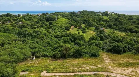 Lots 8, 11, 11a, 11b, 11c Camino Nuevo Yabucoa PR 00767
