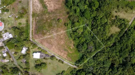 Lots 8, 11, 11a, 11b, 11c Camino Nuevo Yabucoa PR 00767