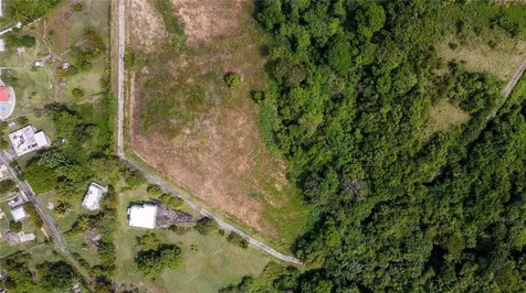 Lots 8, 11, 11a, 11b, 11c Camino Nuevo Yabucoa PR 00767
