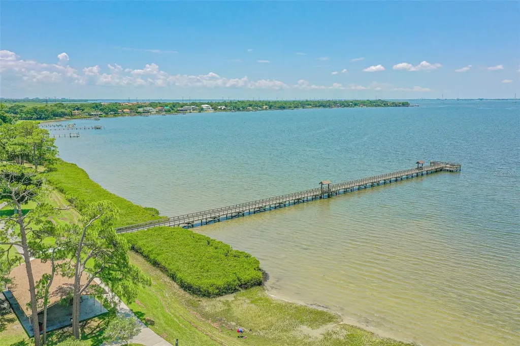 7418 Seagull Way Tampa FL 33635