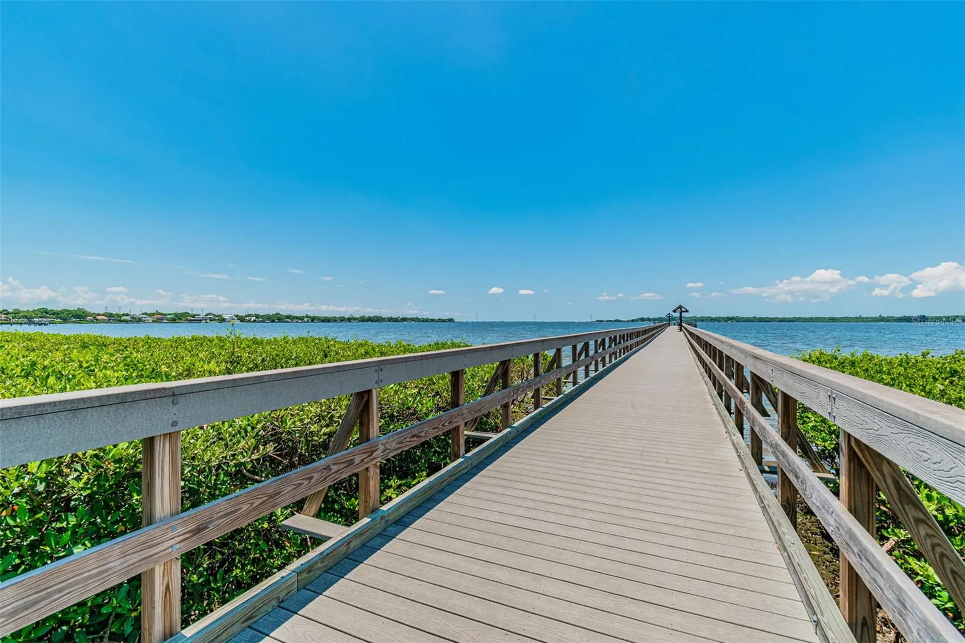 7418 Seagull Way Tampa FL 33635