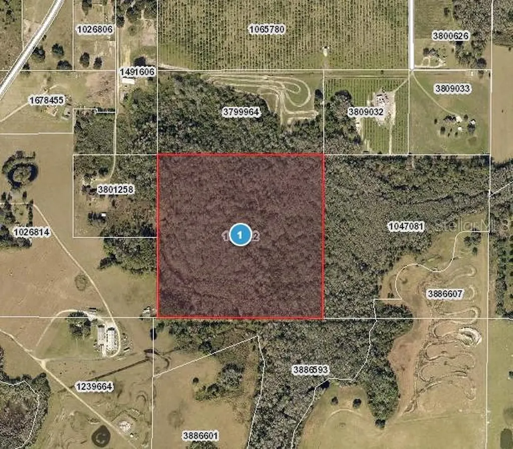 Hidden Grove Road Clermont FL 34711