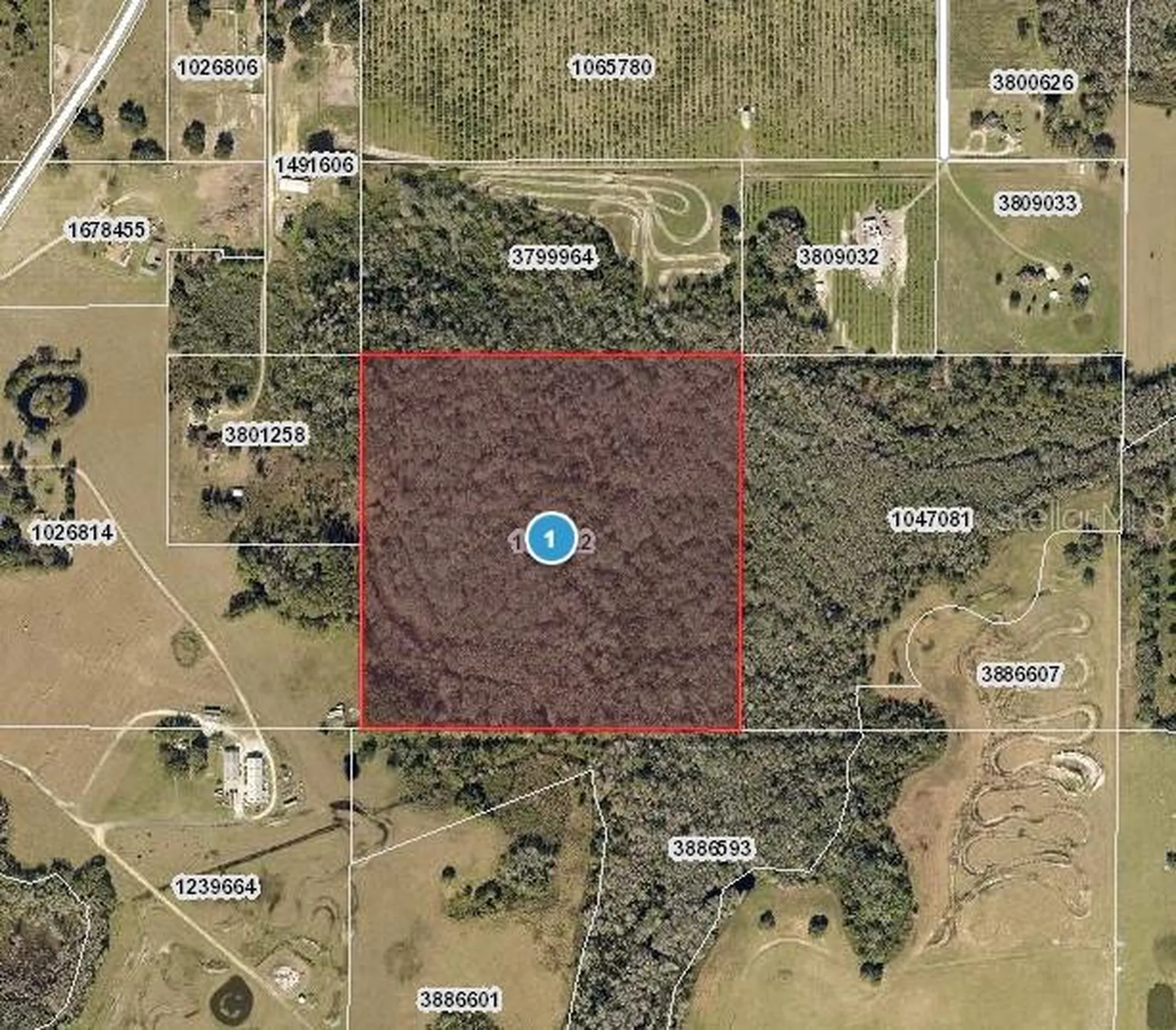 Hidden Grove Road Clermont FL 34711