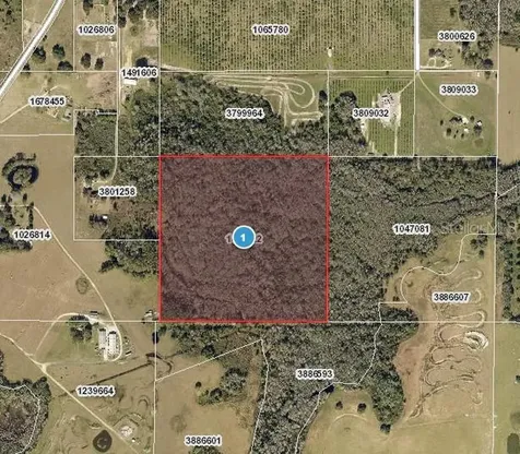 Hidden Grove Road Clermont FL 34711