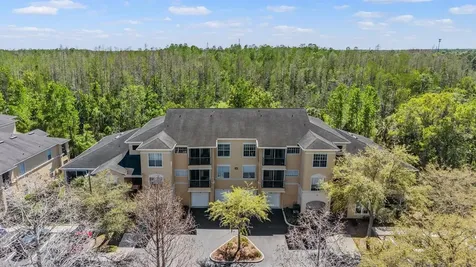 5125 Palm Springs Boulevard Tampa FL 33647