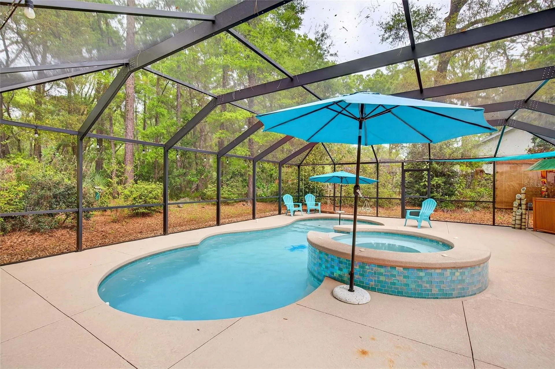 18848 SW 93rd Loop Dunnellon FL 34432