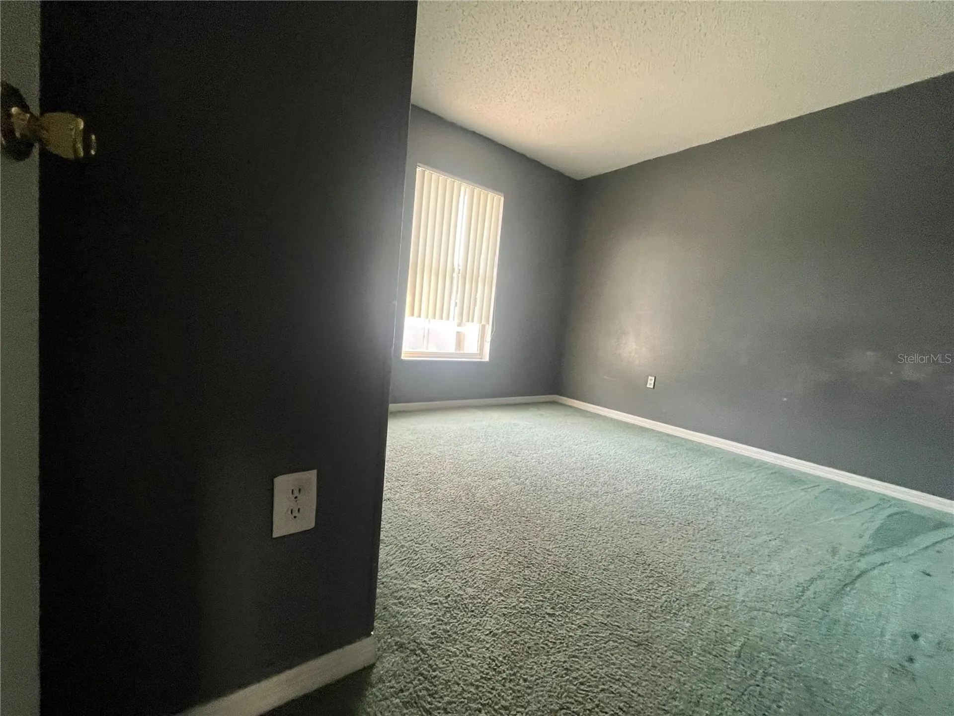 318 Walpole Loop Davenport FL 33897