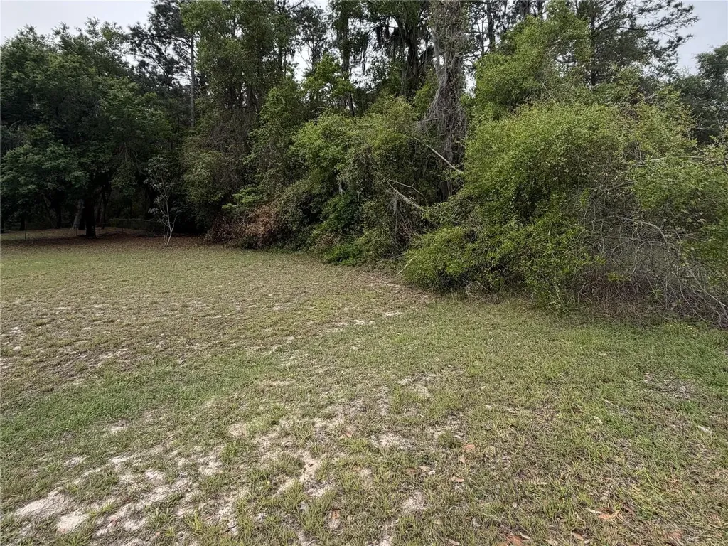 24615 SE 101st Avenue Hawthorne FL 32640