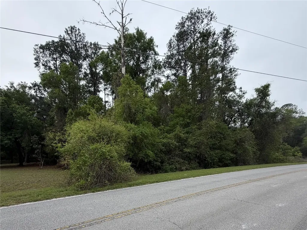 24615 SE 101st Avenue Hawthorne FL 32640