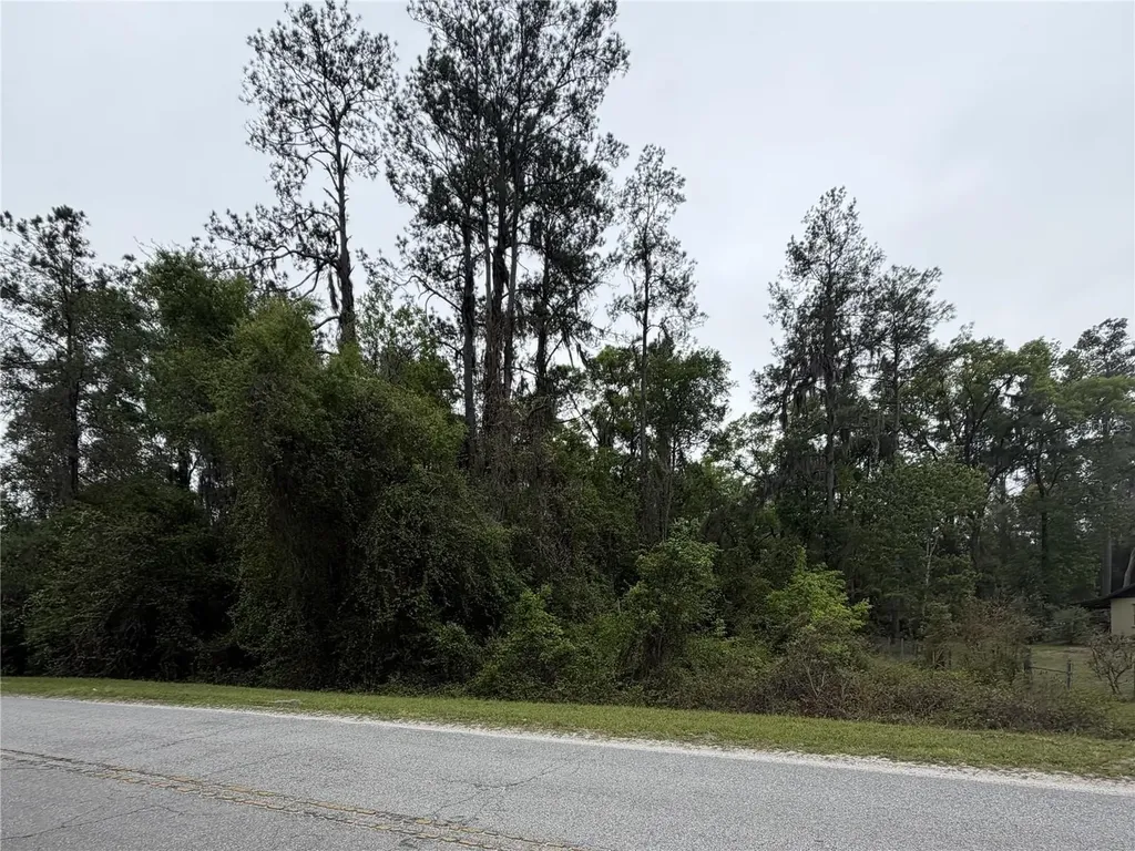 24615 SE 101st Avenue Hawthorne FL 32640