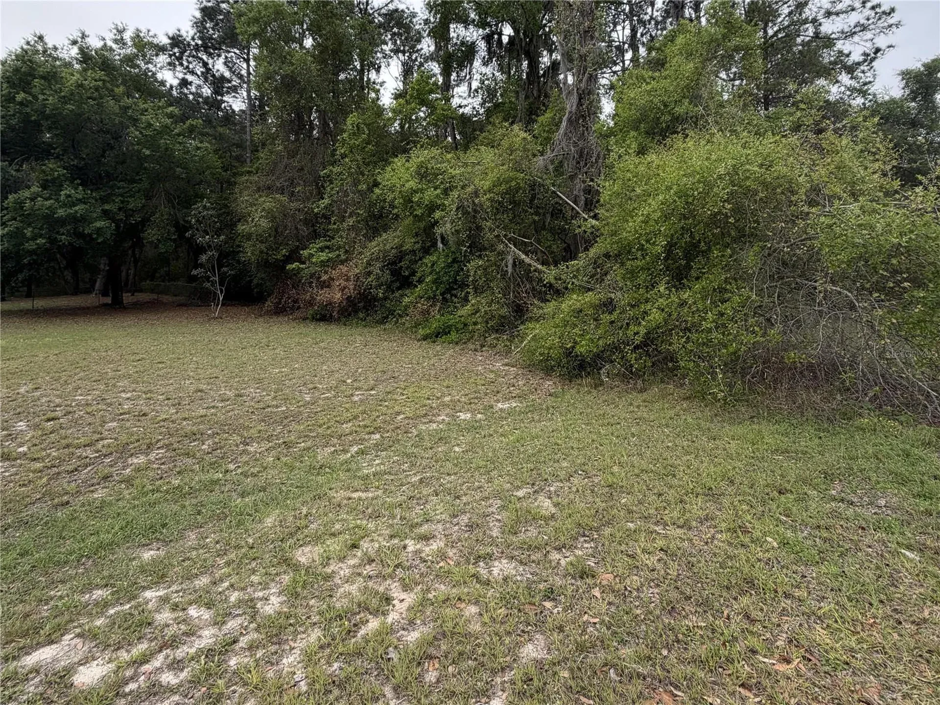 24615 SE 101st Avenue Hawthorne FL 32640