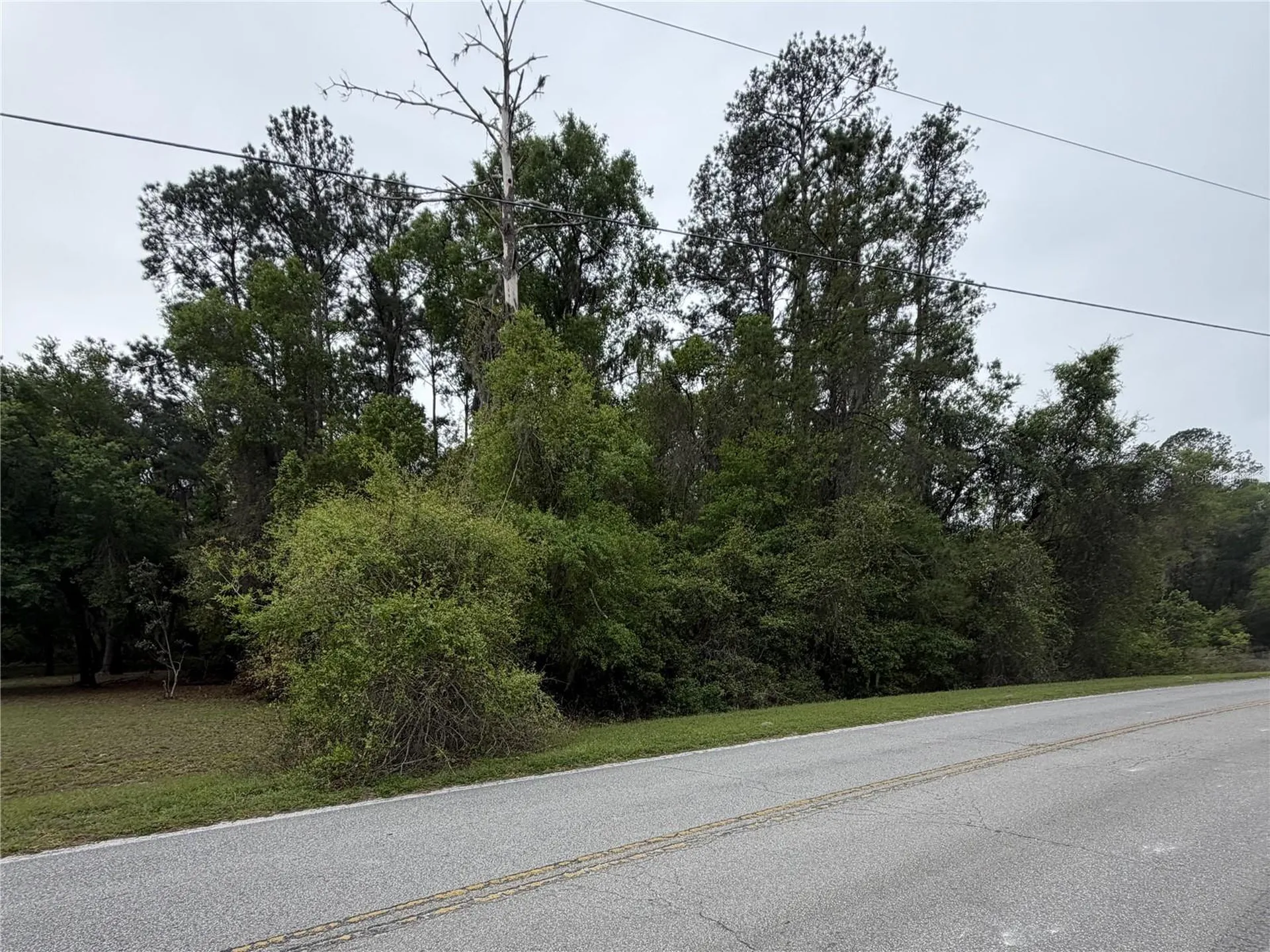 24615 SE 101st Avenue Hawthorne FL 32640