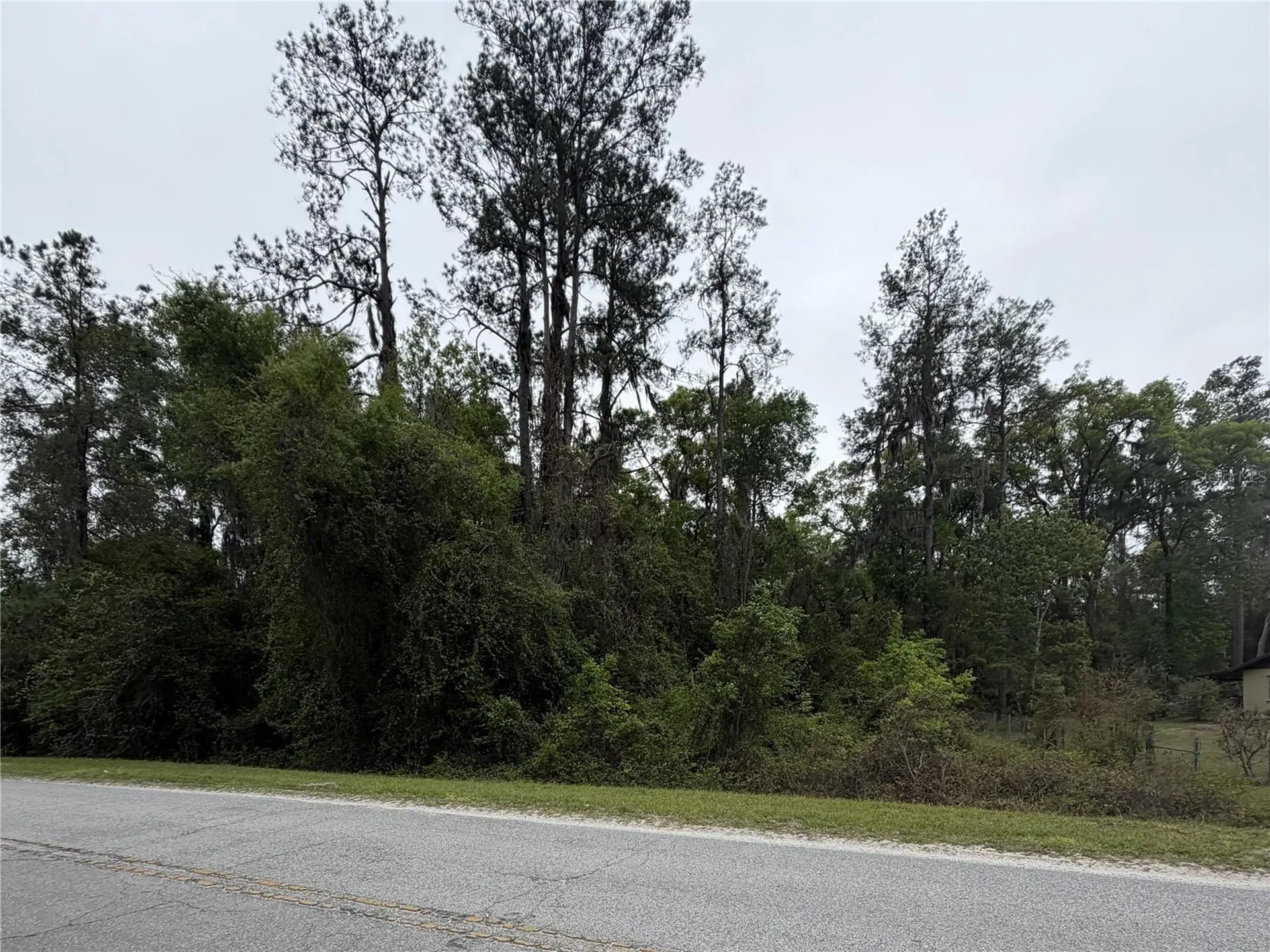 24615 SE 101st Avenue Hawthorne FL 32640