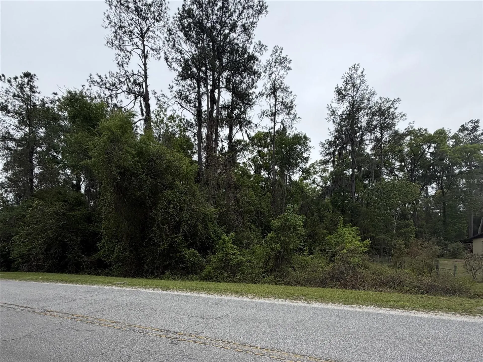 24615 SE 101st Avenue Hawthorne FL 32640