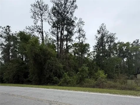 24615 SE 101st Avenue Hawthorne FL 32640