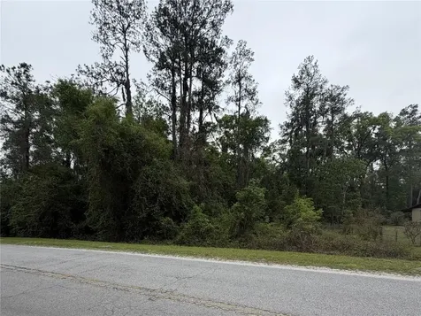 24615 SE 101st Avenue Hawthorne FL 32640