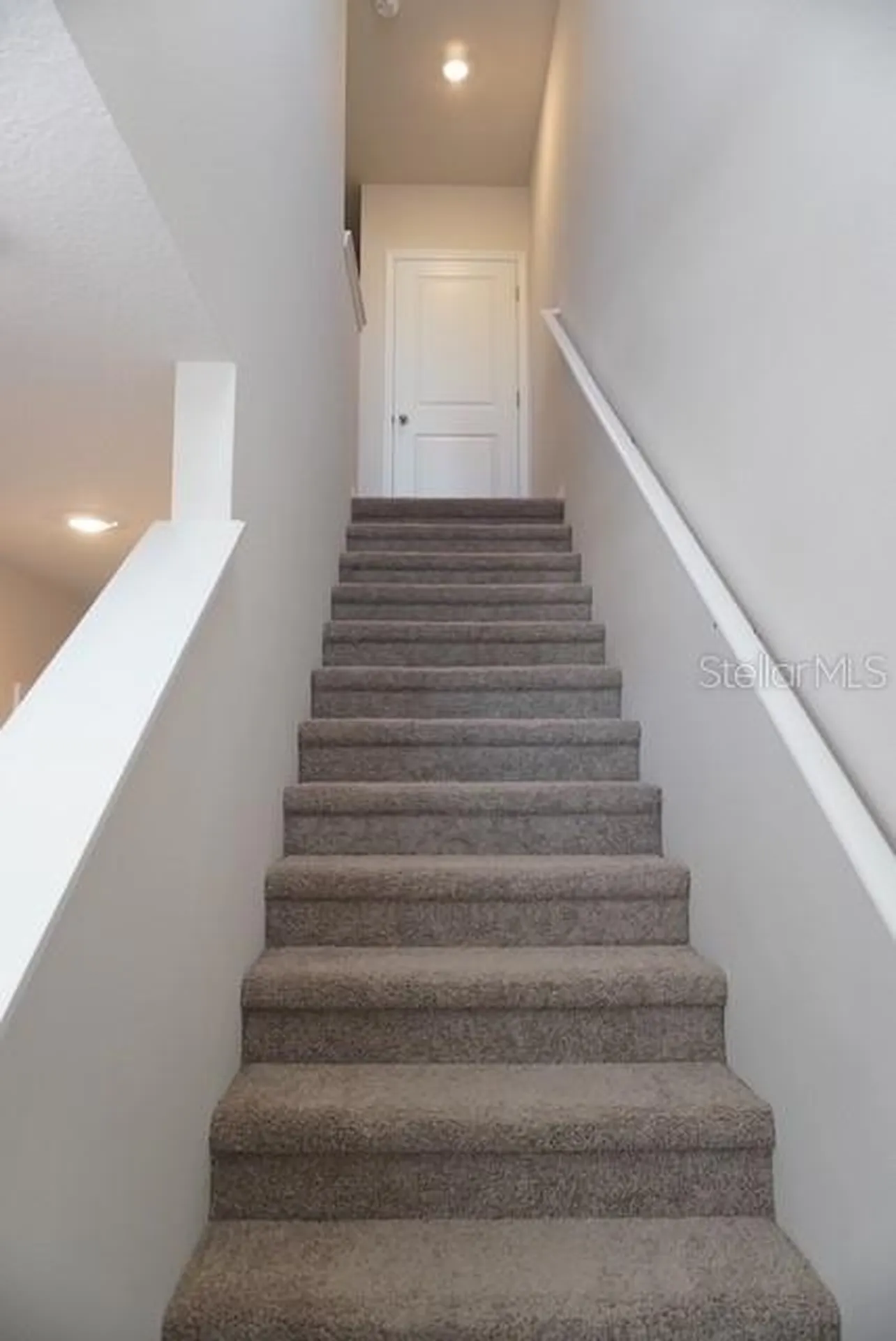 4666 Stargazer Court Palm Harbor FL 34683