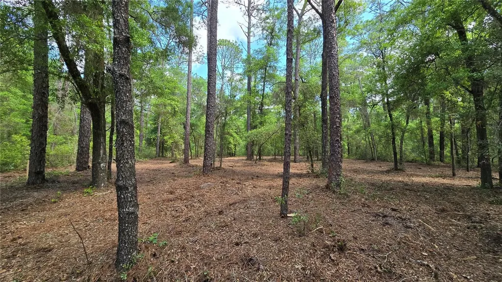2797 W Grapevine Court Dunnellon FL 34433