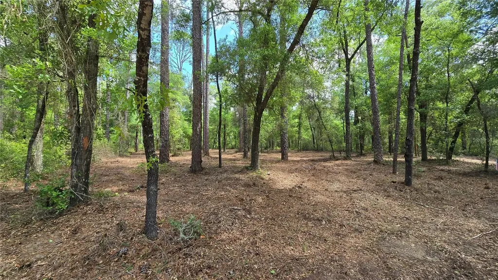 2797 W Grapevine Court Dunnellon FL 34433